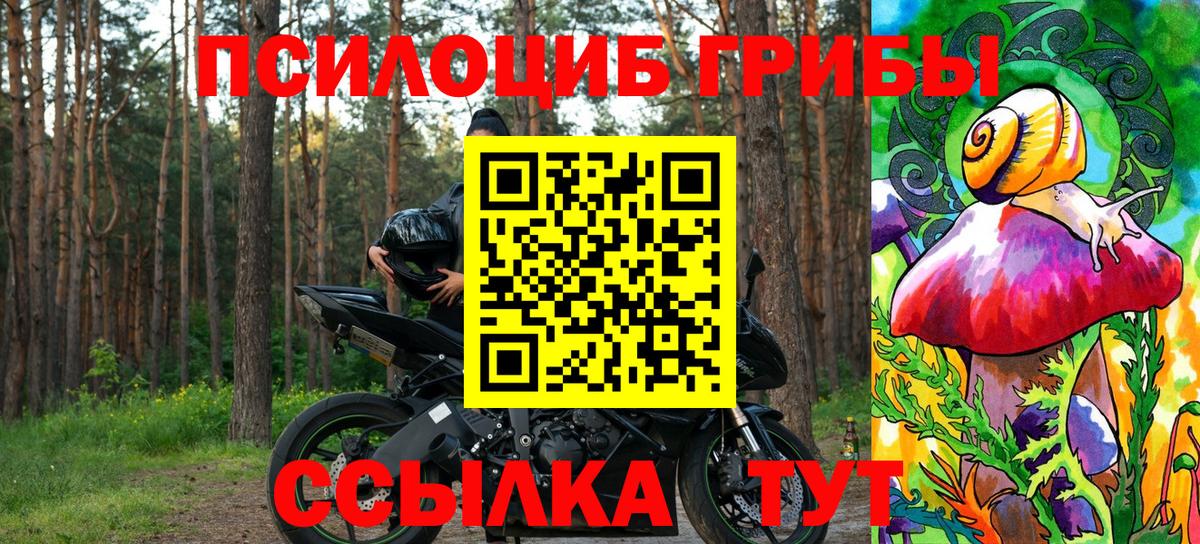 Псилоцибиновые грибы MAGIC MUSHROOMS  Вход с VPN  Сыктывкар  Галлюциногенные грибы Psilocybine cubensis 