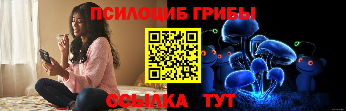 Псилоцибиновые грибы ЛСД Сыктывкар